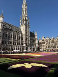 La alfombra de flores de la Grand-Place y la torre del Ayuntamiento de Bruselas