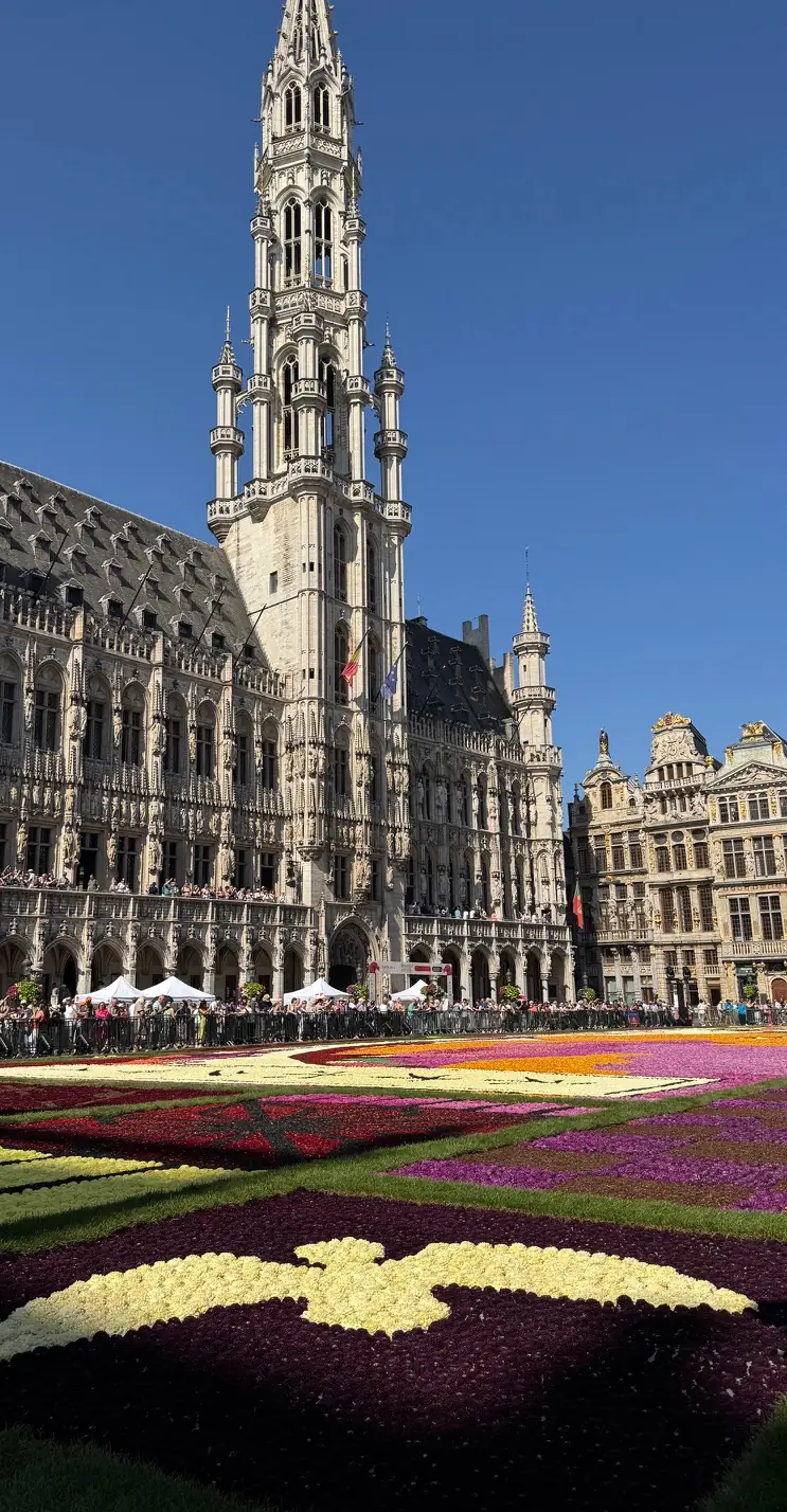 La alfombra de flores de la Grand-Place y la torre del Ayuntamiento de Bruselas