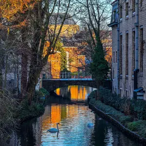 Un canal de Brujas con un cisne y un puente de piedra